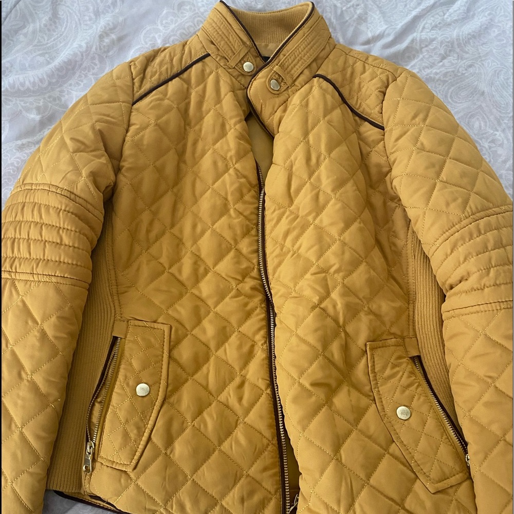 jacket